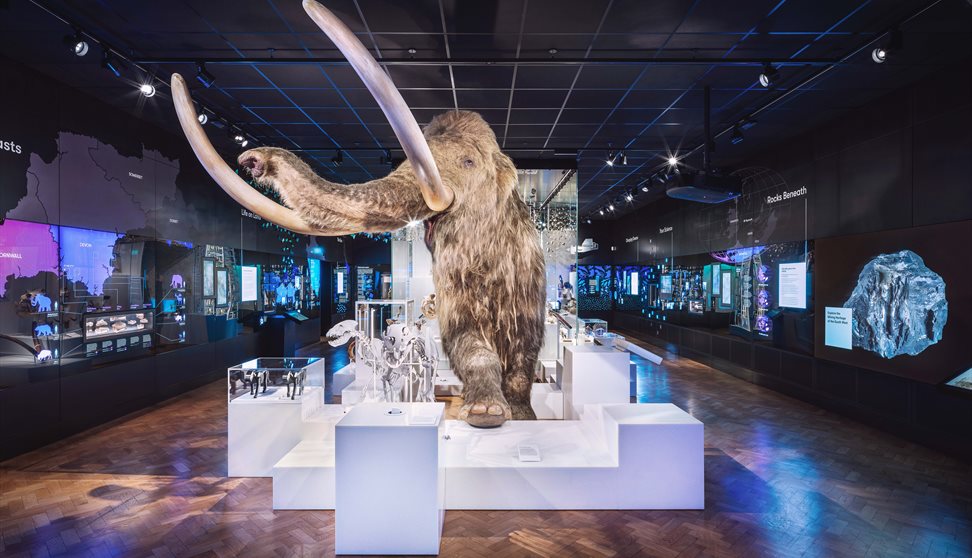 Mildred the woolly mammoth, on display at The Box, Plymouth